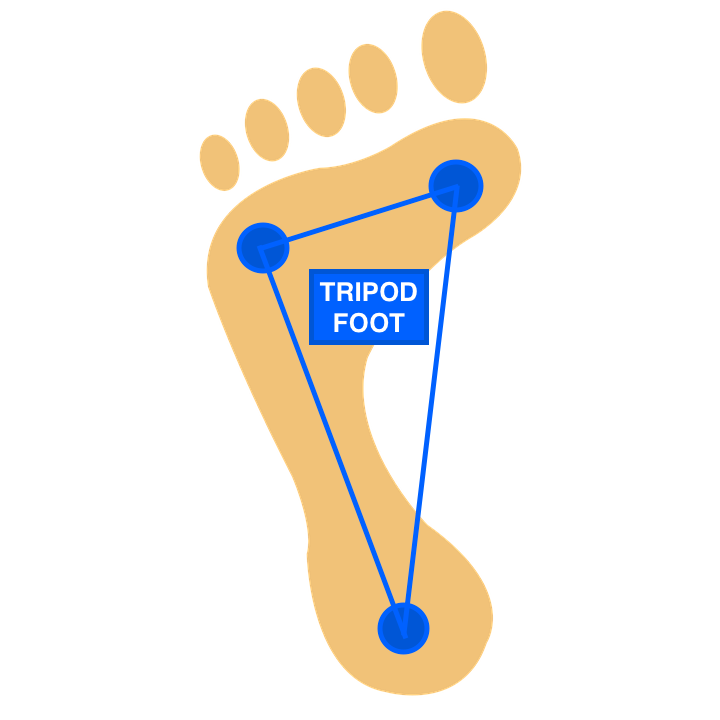 The Importance of Barefoot Shoes with Wide Toe Boxes