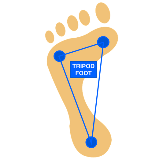 The Importance of Barefoot Shoes with Wide Toe Boxes
